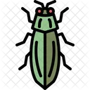Jewel Beetle  Icon