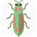 Jewel Beetle  Icon