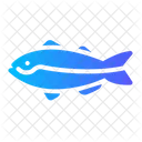 Jewfish  Icon