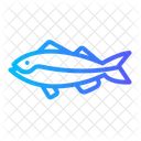 Jewfish Aquarium Aquatic Icon