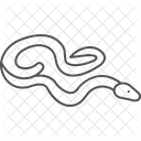 Jiboia De Cauda Vermelha Jiboia De Cauda Vermelha Reptil Ícone