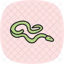 Jiboia De Cauda Vermelha Jiboia De Cauda Vermelha Reptil Ícone
