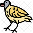 Jilguero Fauna Fauna Icon