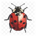 Bug Inseto Primavera Ícone