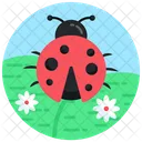 Joaninha Joaninha Coccinellidae Icon