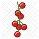 Johannisbeeren  Symbol