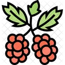 Johannisbeeren Beeren  Symbol