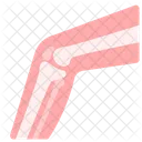 Skeletal System Bones Joint Icon