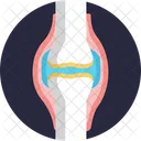 Human Anatomy Bone Joint Icon