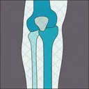 Joint Knee Orthopedic Icon