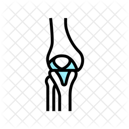 Joint Bone Icon - Download in Colored Outline Style