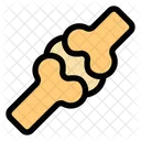 Joint Bone Knee Icon