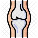 Joint Bones Anatomy Icon