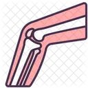 Skeletal System Bones Joint Icon