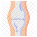 Joint Bones Anatomy Icône