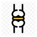 Joint  Icon