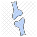 Joint Awesome Lineal Color Icon 아이콘