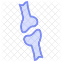 Joint Color Outline Icon 아이콘