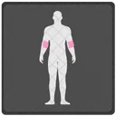 Joint Human Body Icon
