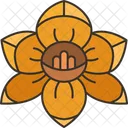Jonquil Yellow Flower Icon