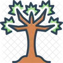 Joshua Tree Desert Icon