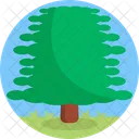 Joshua Tree  Icon