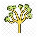 Joshua Tree  Icon