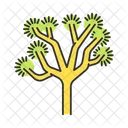 Joshua-Baum  Symbol