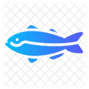 Judenfisch  Symbol