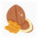 Juglans Regia  Icon