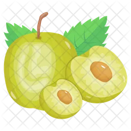 Jujube Apple  Icon