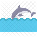 Diving Whale Jumping Whale Killer Whale Icon
