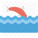 Killer Whale Ocean Icon