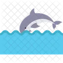 Diving Whale Jumping Whale Killer Whale Icône