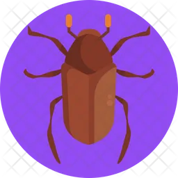 June Bug  Icon