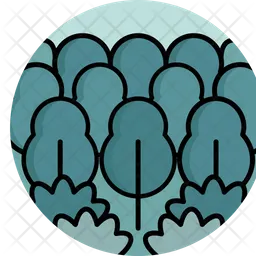 Jungle  Icon
