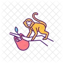 Jungle Monkeys  Icon