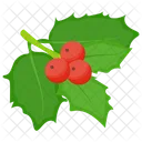 Felsenbirne Beerenobst Beeren Symbol