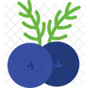 Juniper Berries  Icon