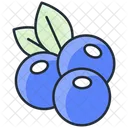Juniper  Icon