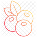 Juniper  Icon