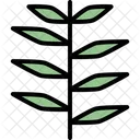 Juniper Leaf Icon