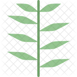 Juniper leaf  Icon