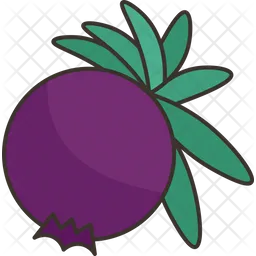 Junipers Berry  Icon