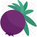 Junipers Berry Icon