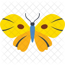 Junonia Almana Butterfly  Icon