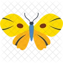 Junonia Almana Specie Icon