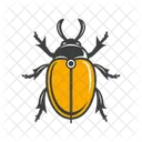 Kafer Symbol
