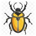 Kafer Symbol