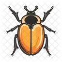 Kafer Symbol